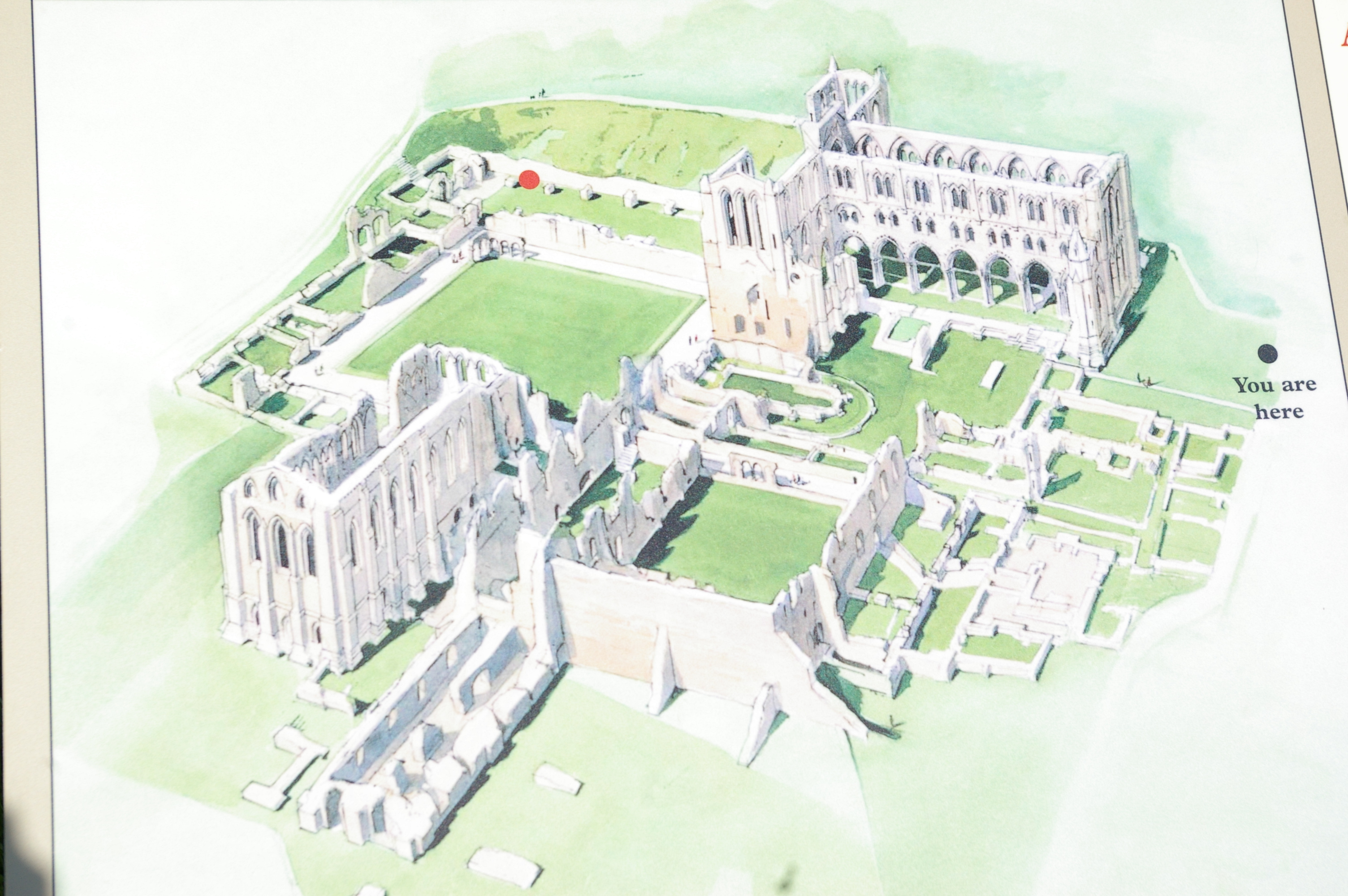 Rievaulx Abbey Yorkshire